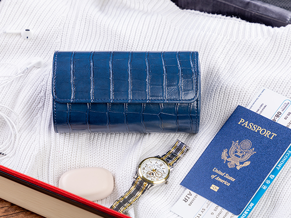 travel cases for 1 watches