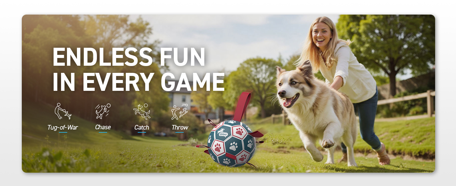 balls for dogs