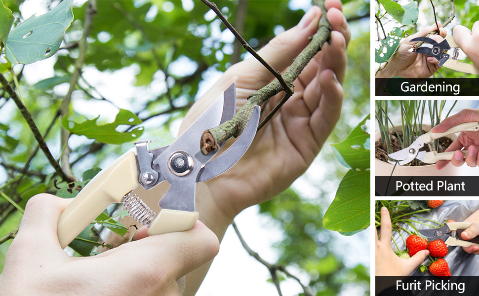 gardening scissors