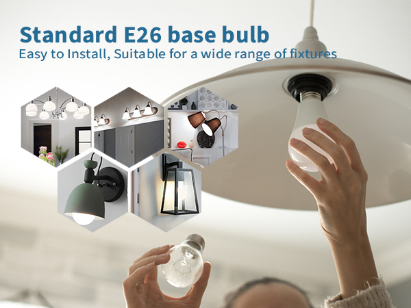standard light bulbs