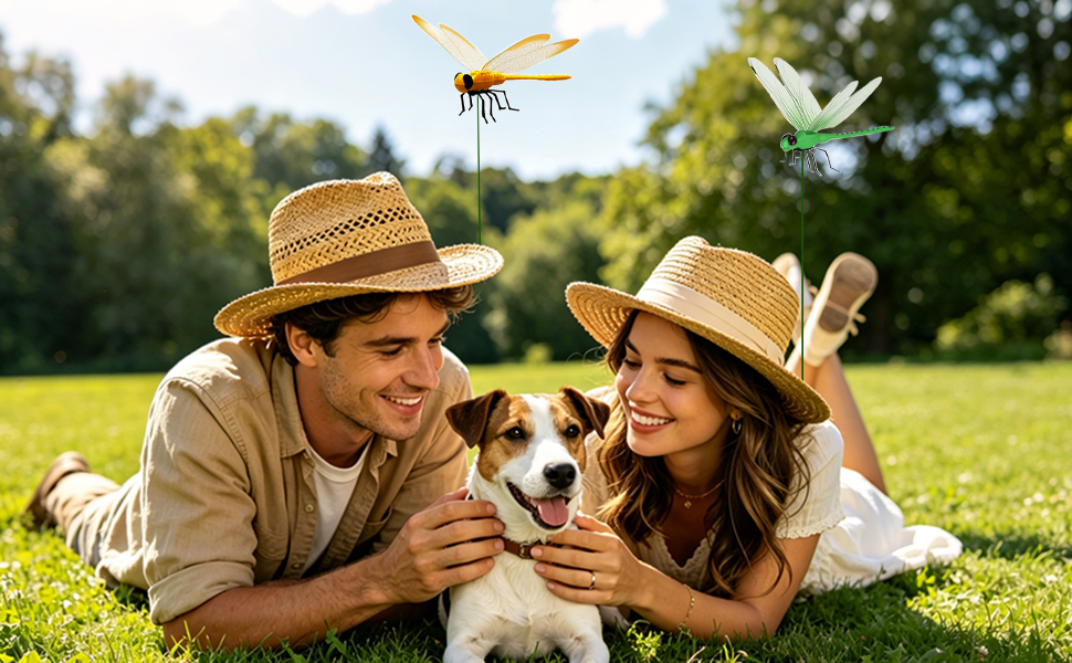 Dragon Fly Clips for Bugs Repellent