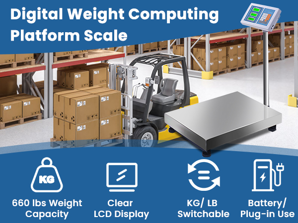 scale