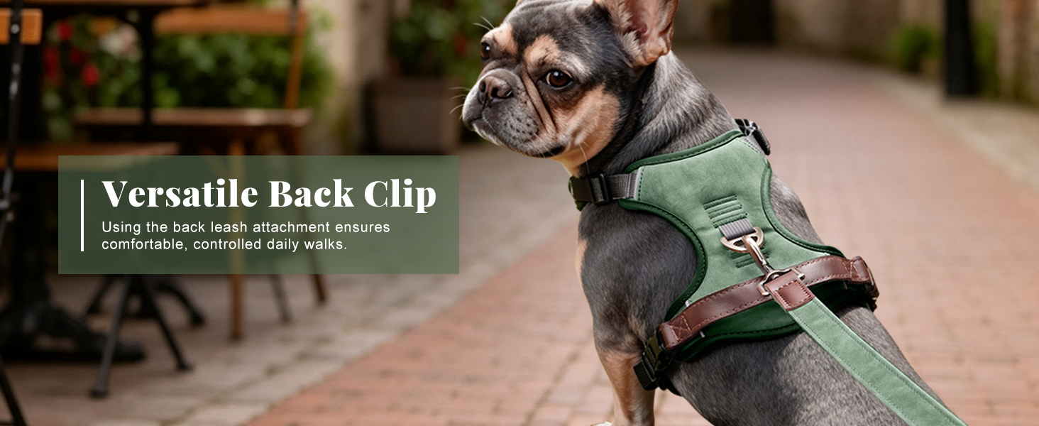 Dog Harness with 2 Clips