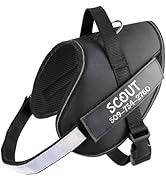 GoTags Personalized No Pull Dog Harness with Custom Name and Phone Number for Small, Medium, and ...