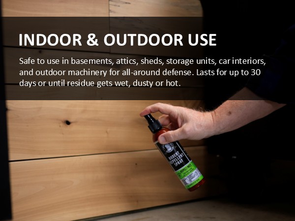 indoor and outdoor use