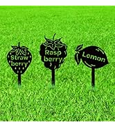 WADORN 3Pcs Fruit Party Metal Decorative Garden Stakes, Strawberry Lemon Raspberry Plant Label Si...