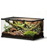 NEPTONION 20"x12"x10" Mini Reptile Glass Terrarium, Top-Opening Vivarium with Escape-Proof Lock &...
