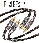 Dual RCA to Dual RCA