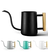 Indoor Watering Can with Long Spout - 35oz