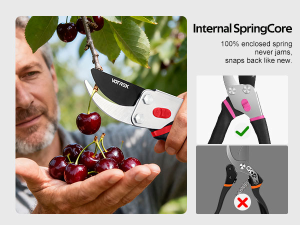 Text reads 'Internal SpringCore'. Product demonstration images showing a cherry pitter tool in use, with close-up shots of the device removing pits from fresh cherries.