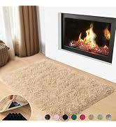 Mugorn 2x3 Rugs for Bedroom, Fluffy Area Rugs for Living Room, Soft Shag Kids Rug Small Carpet wi...