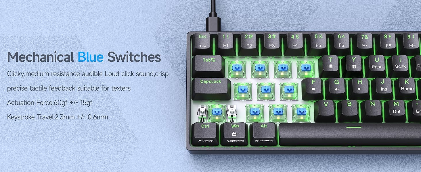 DK61SE- Blue Switch