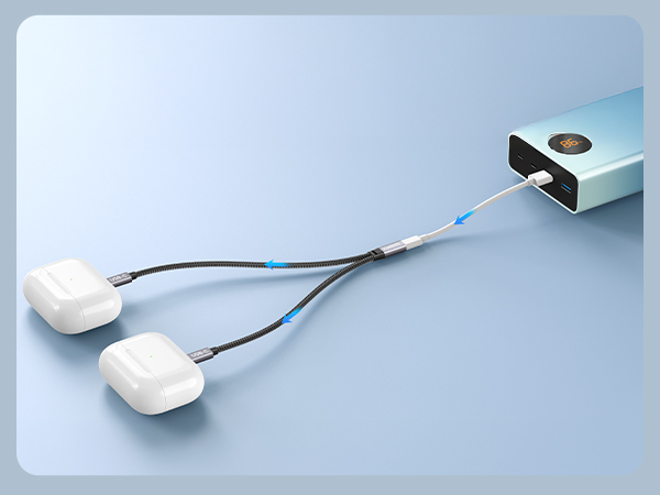 USB C Splitter 1 Female to 2 Male