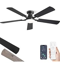https://m.media-amazon.com/images/S/aplus-media-library-service-media/a19adcc7-6b05-43e5-a500-c2f73ab26e14.__AC_SR200,225___.jpg