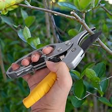 snips b09tpsknld ratchet plants supplies bush rose arthritic hands snippers women sheers shrub