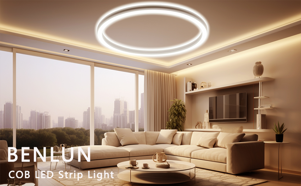 24V COB LED Strip Light 65.6ft (2 Rolls of 32.8ft) Kit, 3000K Warm White Cuttable LED Tape Lights