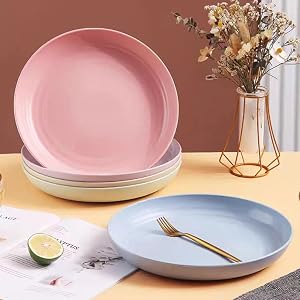 Dinner Dishes Lightweight Plates