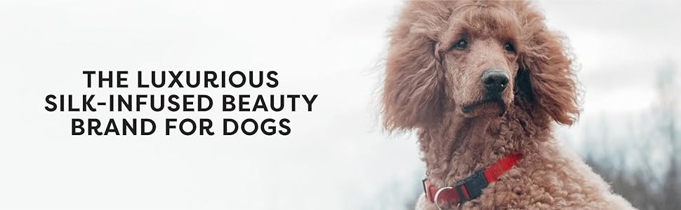 waterless dog shampoo puppy shampoo and conditioner doodle detangler spray dog detangler spray