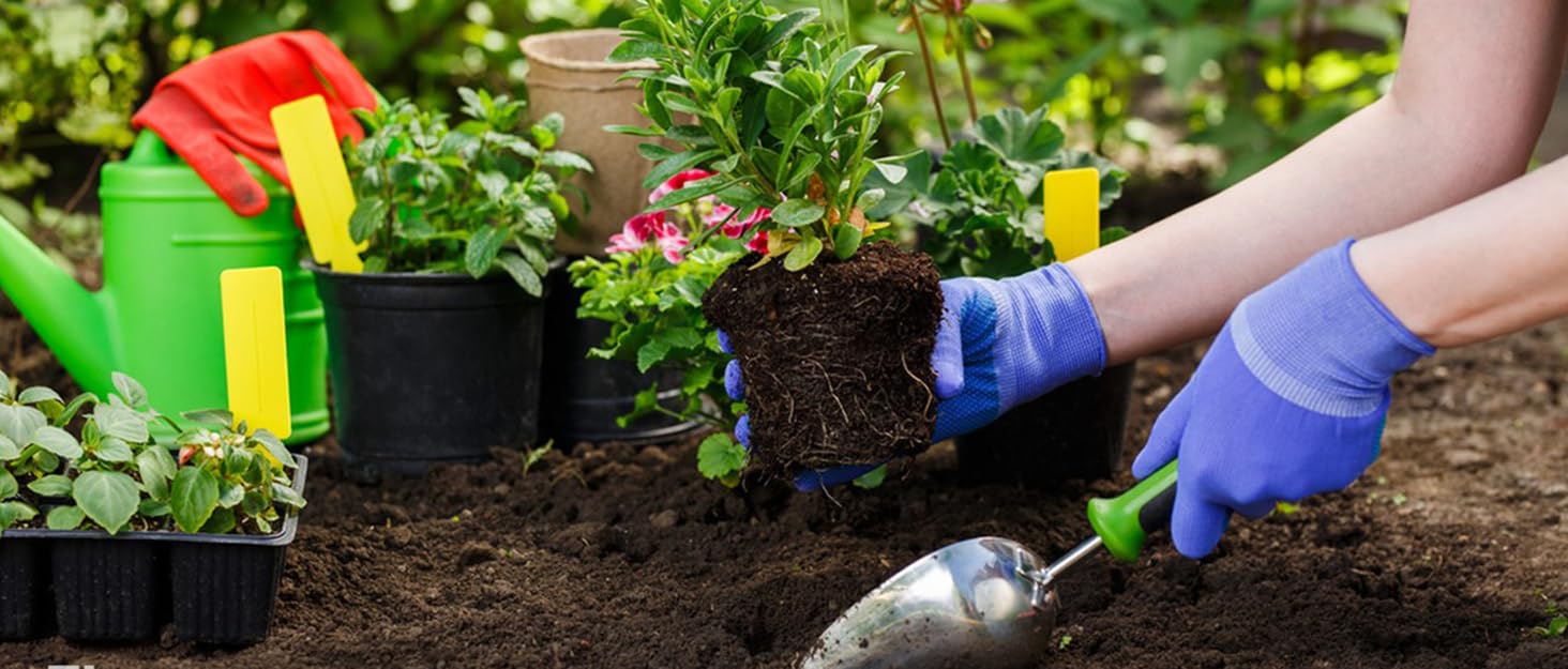 Soil Sand Compost Sifter