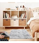 Ehayx Tie-Dyed Grey Rugs for Bedroom, 2x3 Soft Fluffy Small Area Rug for Living Room, Shag Bedsid...