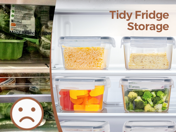 fridge safe
