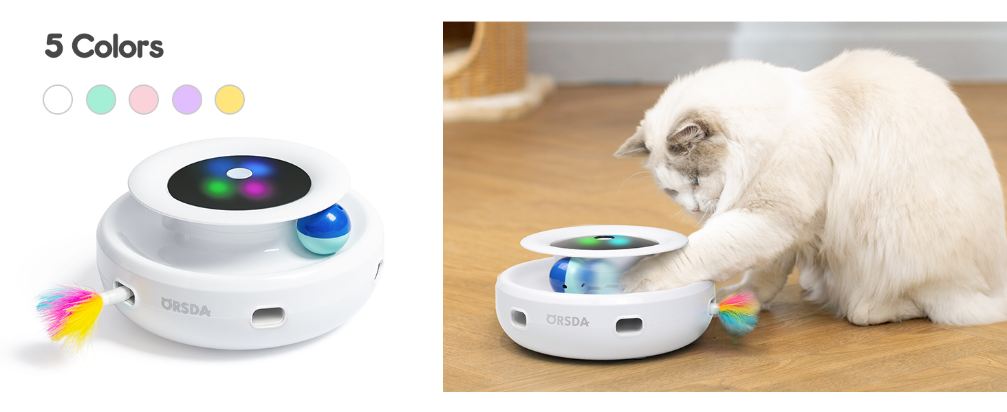 cat toys