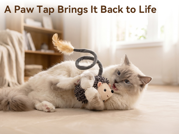 cat toys indoor interactive kitten toys automatic