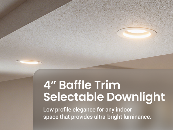 EBC 2 - 4 Selectable Baffle Retrofit Mobile.jpg