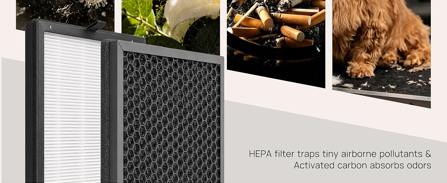 air purifiers for home pets