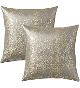 Q&J FABRIC CO. 2 Pack Velvet Throw Pillow Covers 20x20'', Luxury Dutch Fleece Soft Square Cushion...
