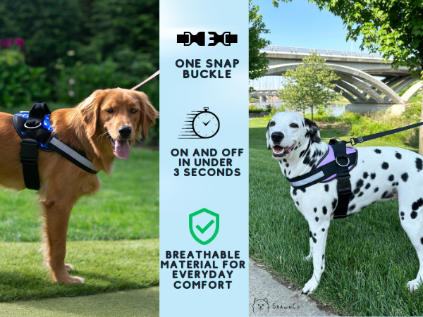 dog harness for big dogs