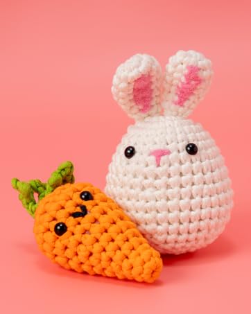 Crochet Kit for Beginners