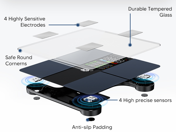 electronic scale 0.1lb accuracy