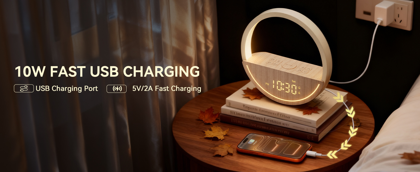 10w usb chargering port