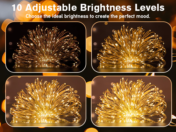 dimmable fairy lights