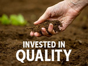 Invested in quality