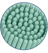 7am2m toothbrush heads