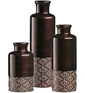 Creative Scents Vase Set of 3, Decorative Vases, Farmhouse Decor, Premium Décor, Centerpiece Tabl...