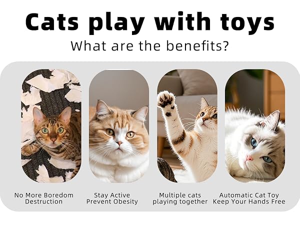 Interactive Cat Toy, Peek-a-Boo Series – Hidden Feather Wand, Rechargeable Indoor Hunting Toy