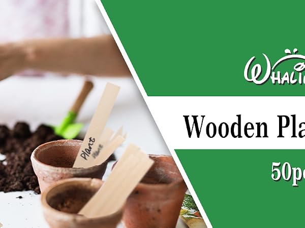 WH0434 50Pcs Wooden Plant Labels