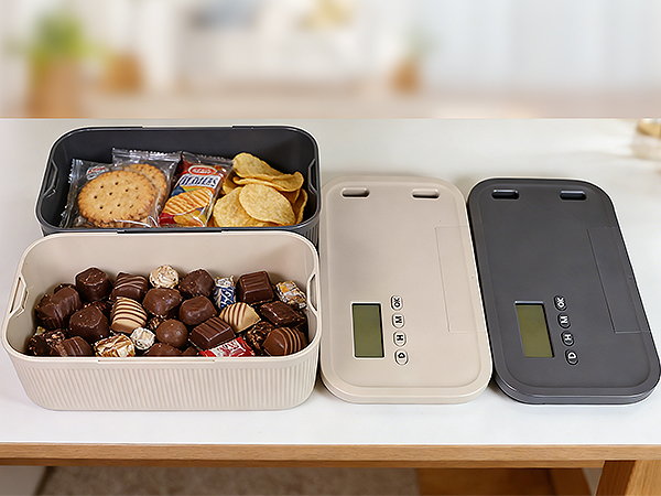 food lock box
