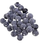 Galyacht 30 Pcs Artificial Blueberries Plastic Fake Blue Berry Plants Realistic Artificial Bluebe...