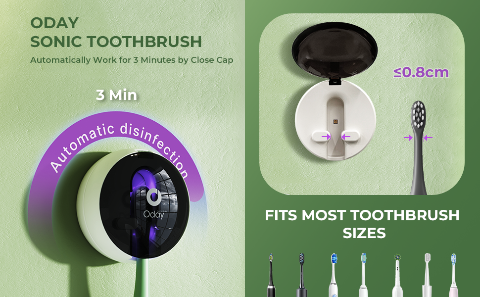electric toothbrush with toothbrush sanitizer