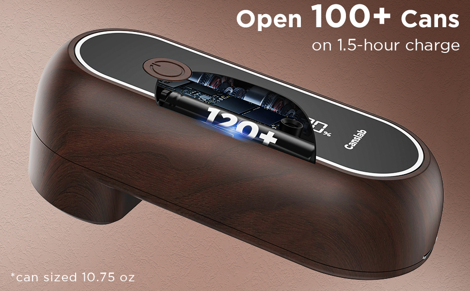 Large Battery Capacity