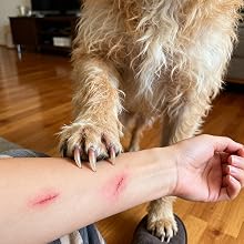 Scratches & Nicks