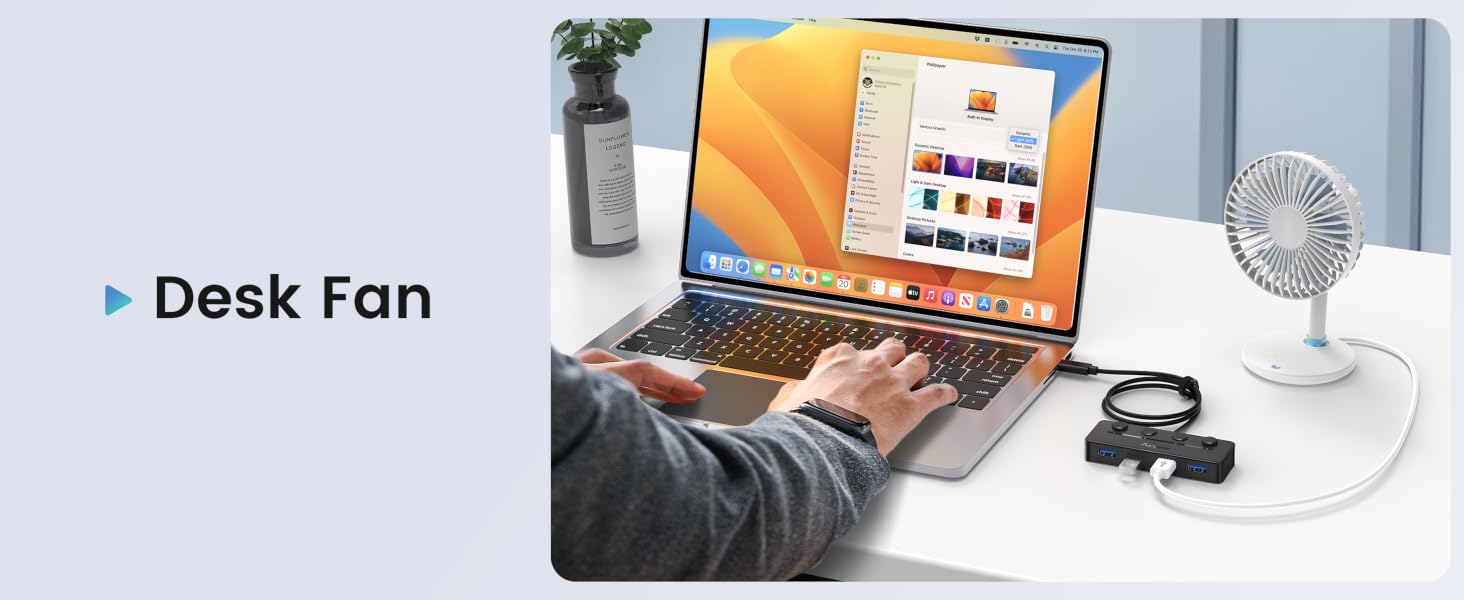 multiport usb hub