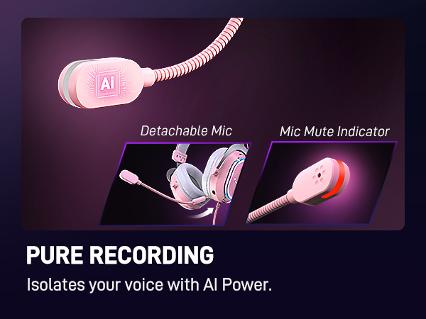 H13P mic