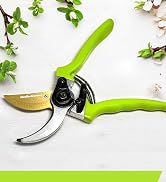 shears