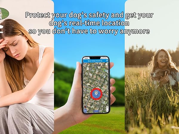 Find Dog Story