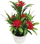Tiosen Red Artificial Lotus Flowers in Plastic Vase, Mini Potted Flowers for Home, Office, Weddin...